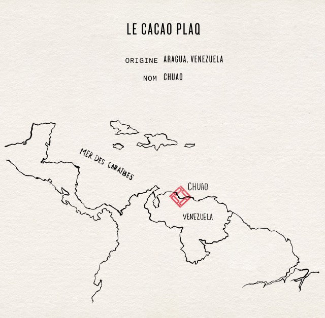 LA FÈVE DE CACAO CHUAO DU VENEZUELA