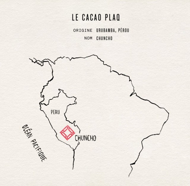 LA FÈVE DE CACAO CHUNCHO DU PÉROU