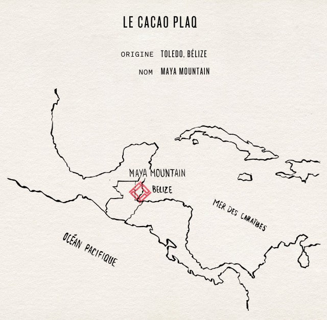 LA FÈVE DE CACAO MAYA MOUNTAIN DU BELIZE