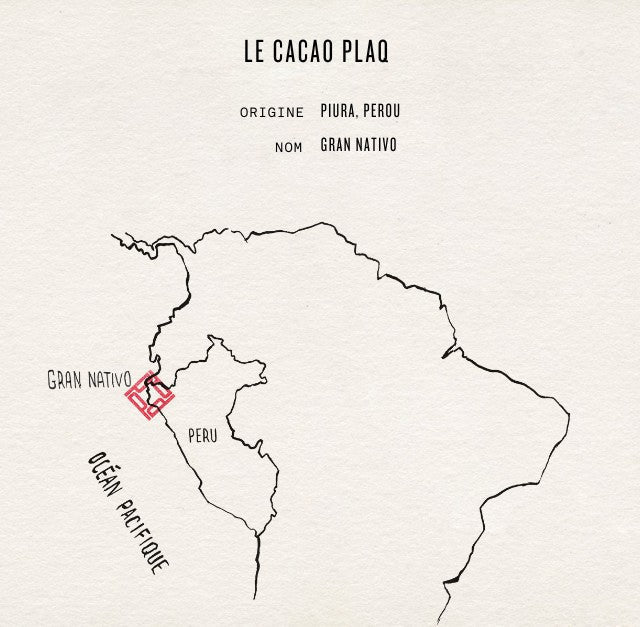 LA FÈVE DE CACAO GRAN NATIVO DU PÉROU