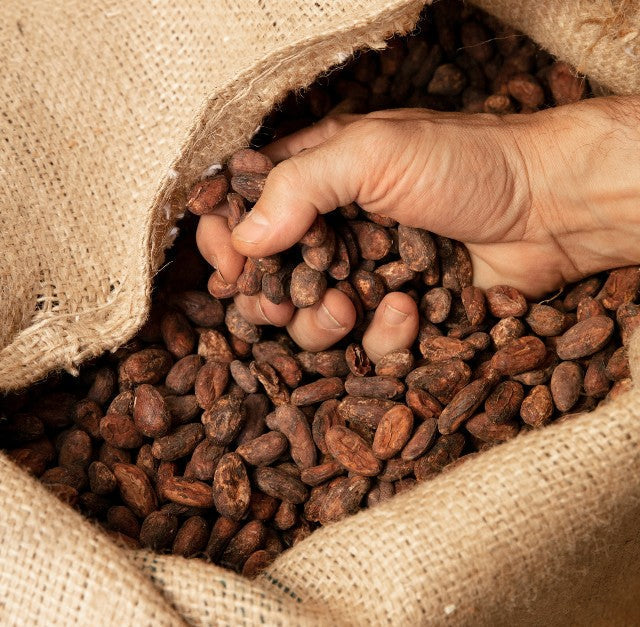 CHLOÉ DOUTRE-ROUSSEL, EXPERTE CACAO