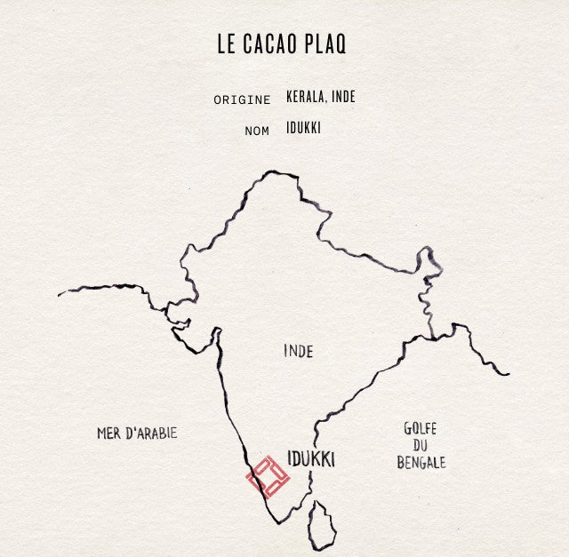 LA FÈVE DE CACAO IDUKKI D'INDE