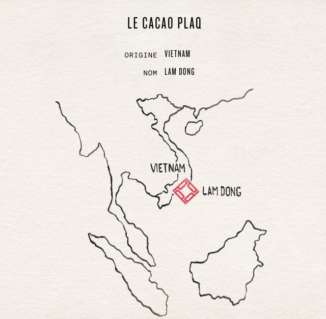 LA FÈVE DE CACAO LAM DONG DU VIETNAM