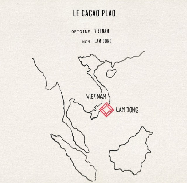 LA FÈVE DE CACAO LAM DONG DU VIETNAM