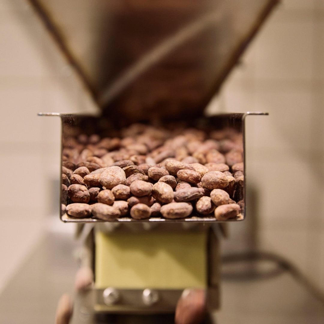 LE CACAO EN PLEIN CHAOS