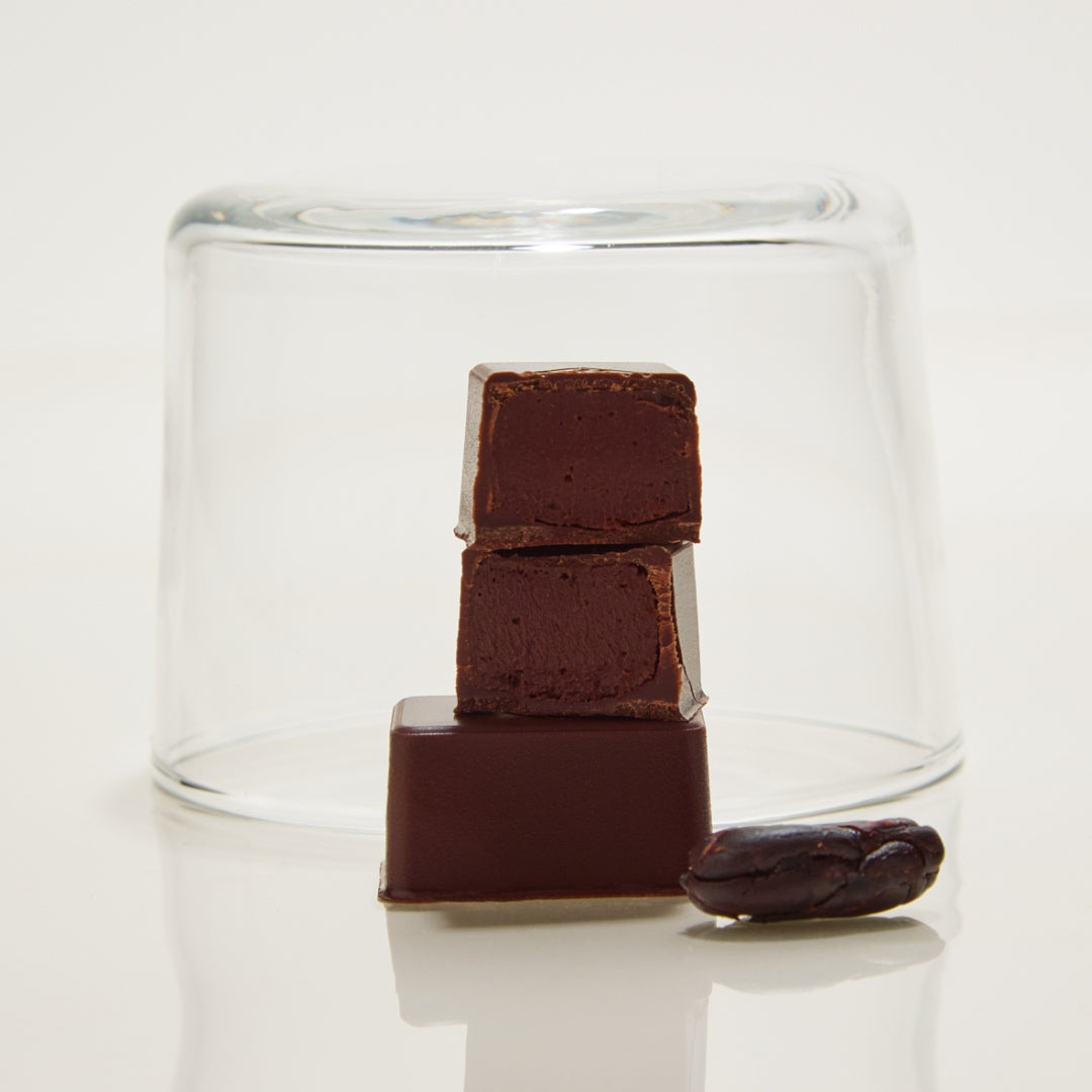 BOÎTE 16 BONBONS MIX DE 2 GANACHES CHOCOLAT NOIR